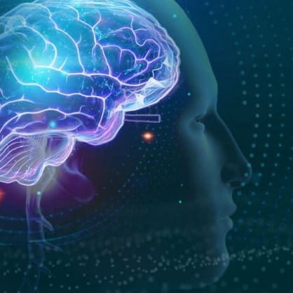 The Genius Switch – Unlock Your Hidden Genius